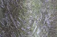 Shotleyfield fibreglass roof work